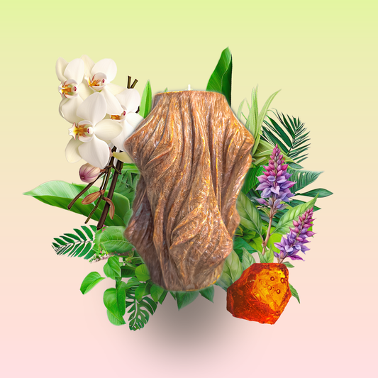 Veil, Noble Wood, Cedarwood (Small) VOSK
