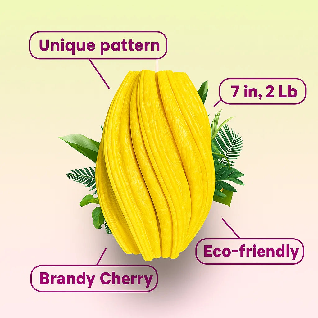 Fusion Candle, Yellow Cherry, Brandy Cherry (Large)