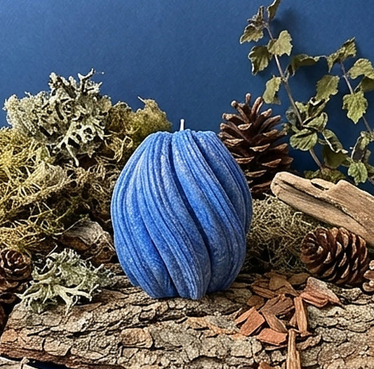 Blue candle surrounded by natural elements like wood, pinecones, and moss on a blue background