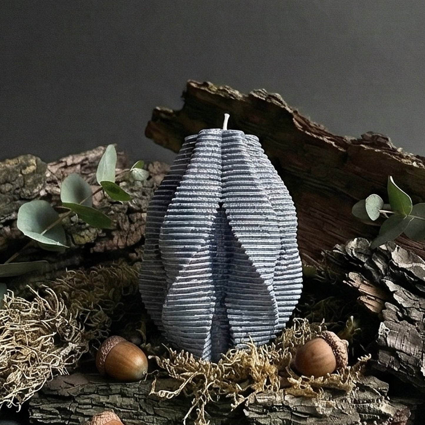 Blossom Candle, Wet Stone, Eucalyptus